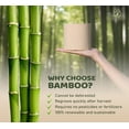 thumbnail image 5 of Bamboo Story Bamboo Toilet Paper Unbleached – 12 Rolls, 3-Ply, 300 Sheets | Hypoallergenic, Chemical Free, Septic Safe, FSC Certified | Non Toxic, Natural Bamboo Tissue, 5 of 7