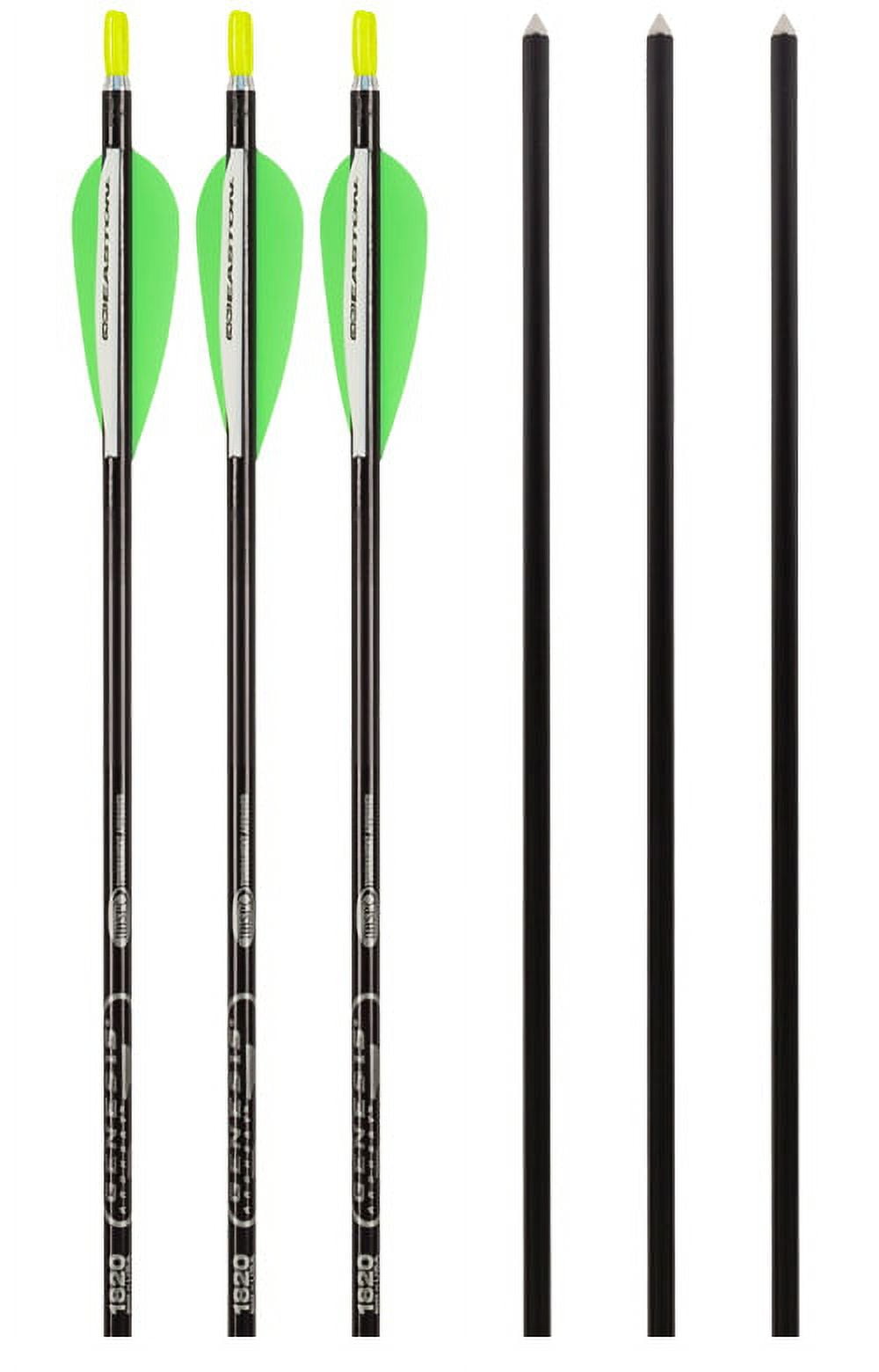 Easton Archery Genesis NASP Tournament Competition Approved Arrow 6pk - Blk