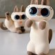 thumbnail image 5 of Caja ciega de la segunda serie de la vida diaria de Azukisan, caja misteriosa de gato siamés Kawaii, figuras de Anime, modelo lindo, juguetes, cajas sorpresa, regalo para niños1861, 5 of 5