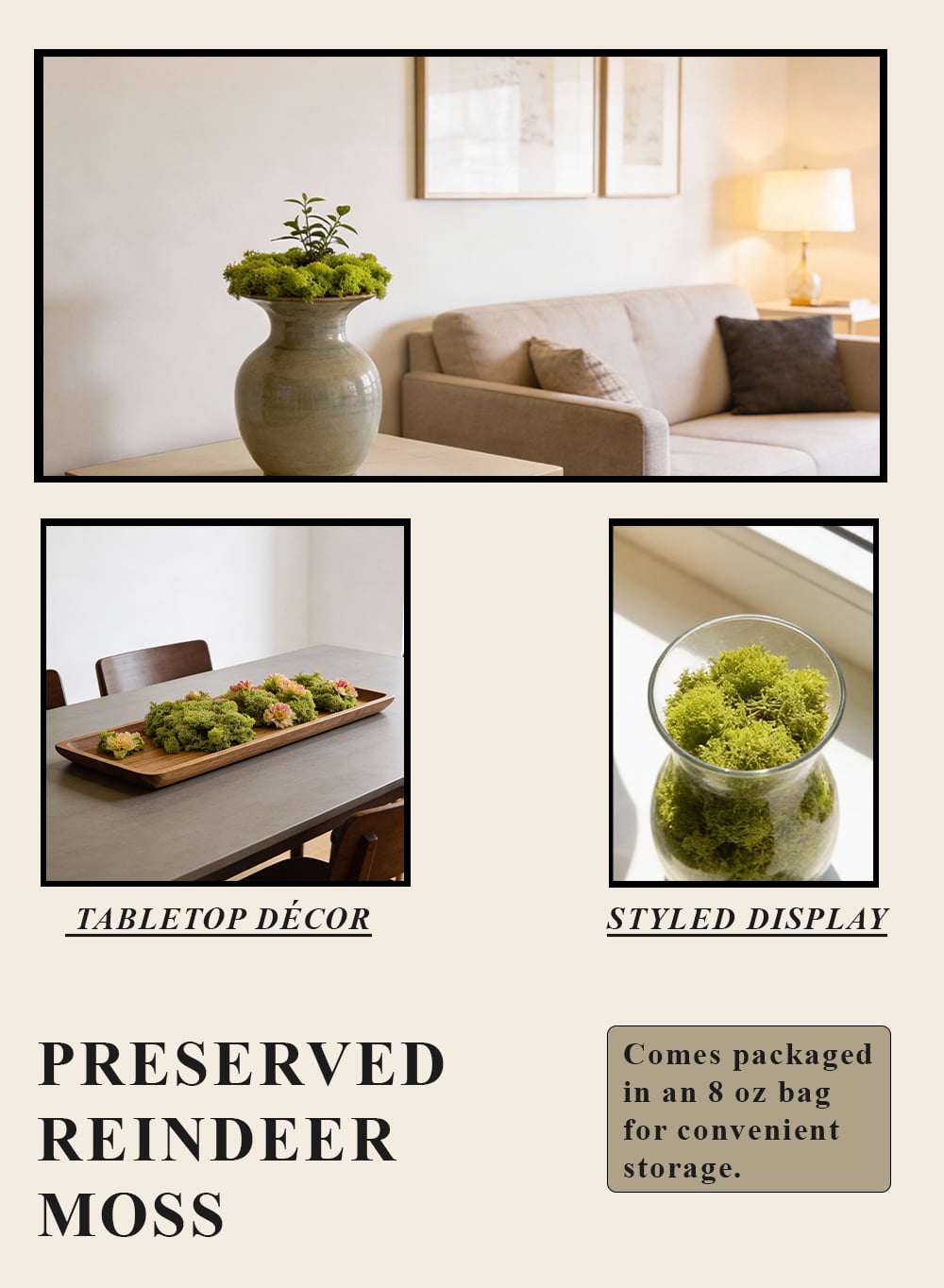 Serene Spaces Living Green Preserved Low-Maintenance Natural Moss Decorative Filler, 8 Ounce Bag