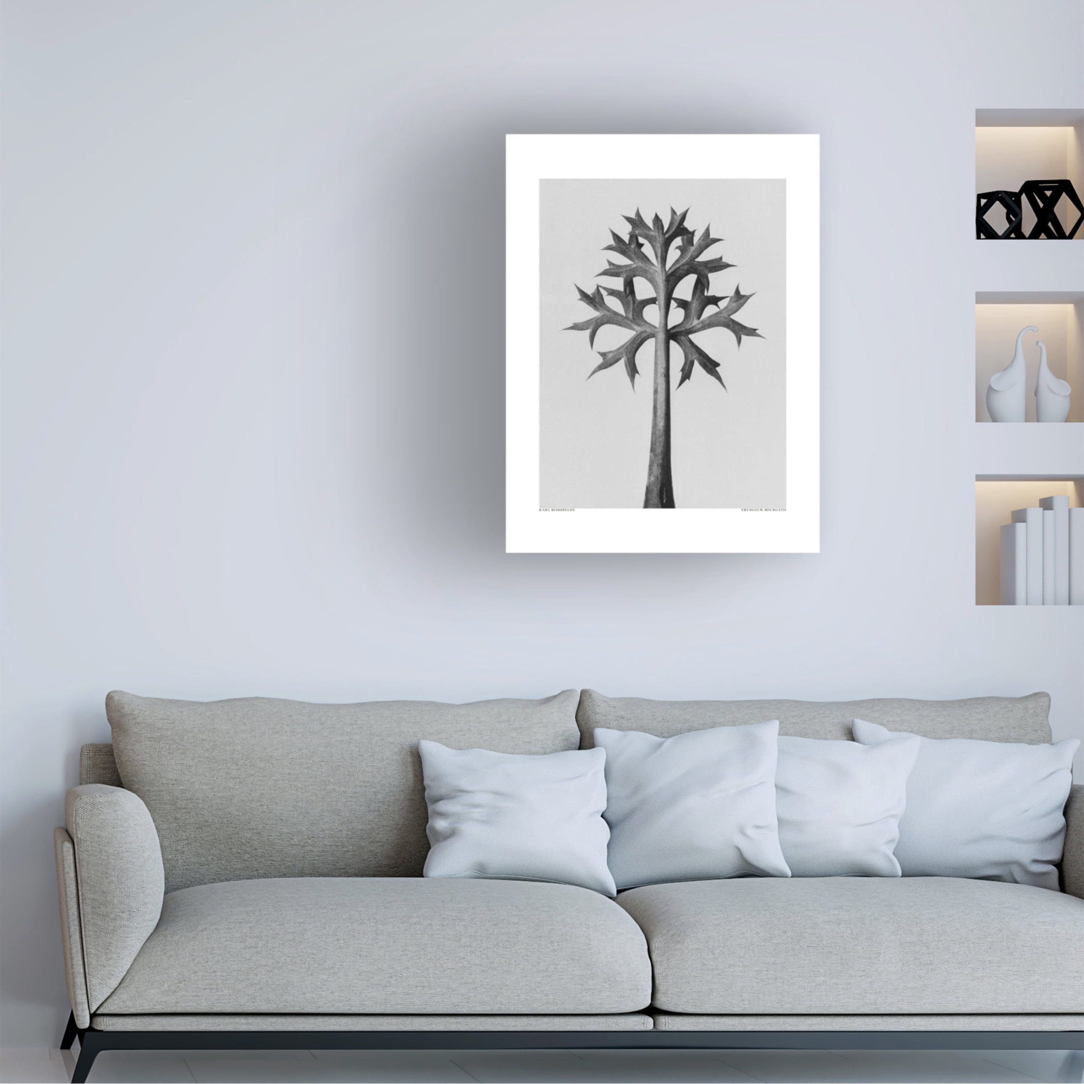 Trademark Fine Art Pictufy  Eryngium Bourgatii Canvas Wall Art