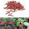 thumbnail image 1 of Plant Clips Sturdy Clips Plant Clips Climbing Aid for Plants, Clips for Climbing Plants Attachment, 100 Pieces(B), 1 of 5