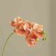 thumbnail image 3 of Orquídea mariposa de imitación, flor artificial individual, arreglo floral for sala de estar, escritorio, 3 of 4