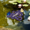 thumbnail image 4 of Automatic Feeder Waterer For : Automatic Hydration Solution To Fresh Water For Small And Invertebrates, 4 of 4