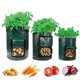 thumbnail image 3 of Bolsa de Plantació de Bolsas PE de planta respirable para el medio ambiente., 3 of 8