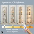 thumbnail image 5 of FENLO Fantasy 66" Luxury Glass Display Shelf with Dimmable LED Floor Lamps, Sturdy Glass Shelf for Bedroom, Floor Lamp with Shelves - Rustic Wood, 5 of 7