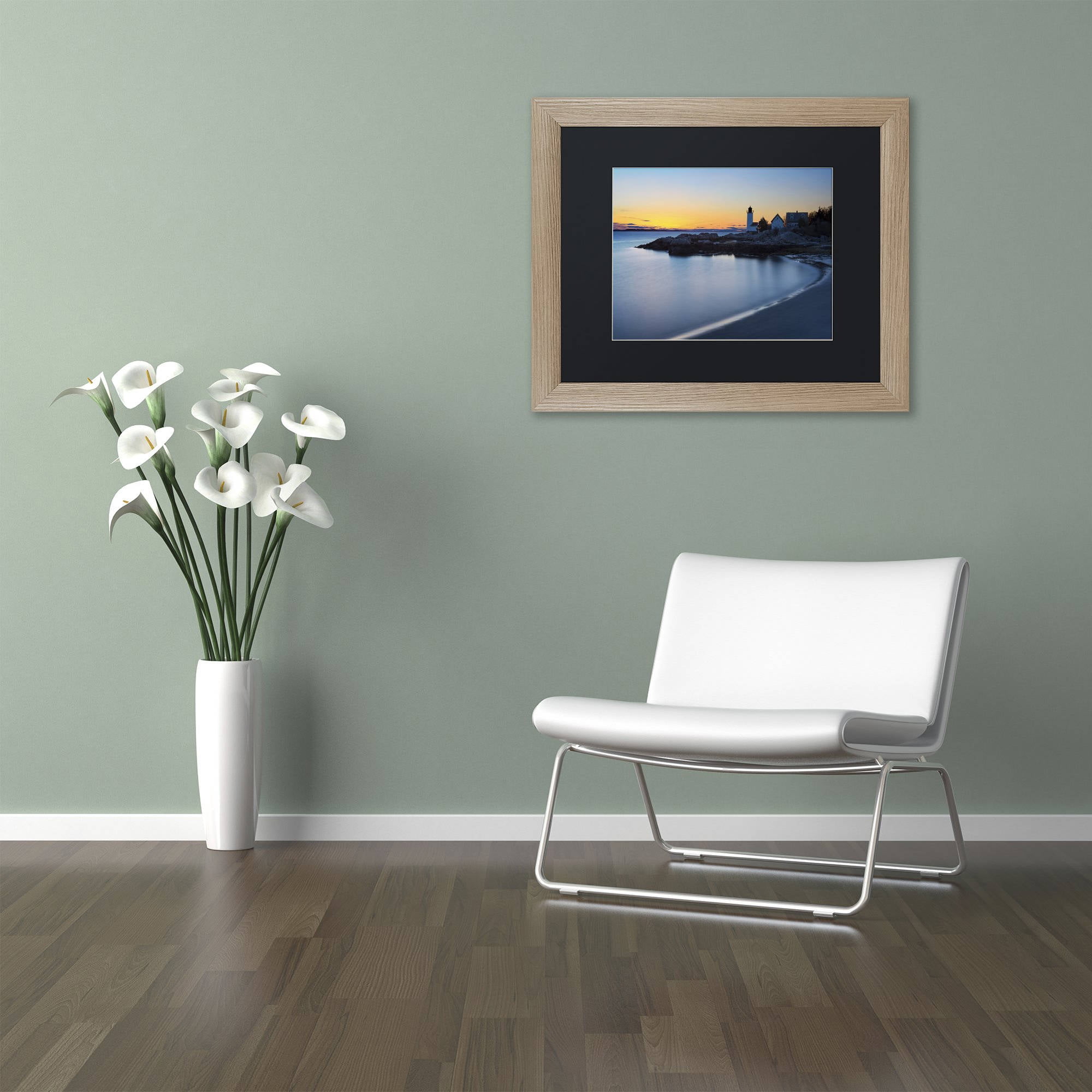 Trademark Fine Art "Light On The Point" Canvas Art by Michael Blanchette Photography Black Matte, Birch Frame