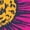 NAVY, variant on Instant Message - Pink Yellow Daisy - Women's Short Sleeve Graphic T-shirt