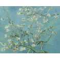 thumbnail image 2 of van Gogh, Vincent 32x26 Gold Ornate Wood Framed with Double Matting Museum Art Print Titled - Almond blossom, 2 of 4