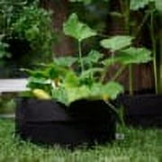 SMART POT 45 Gallon Fabric Grow Bag - Black