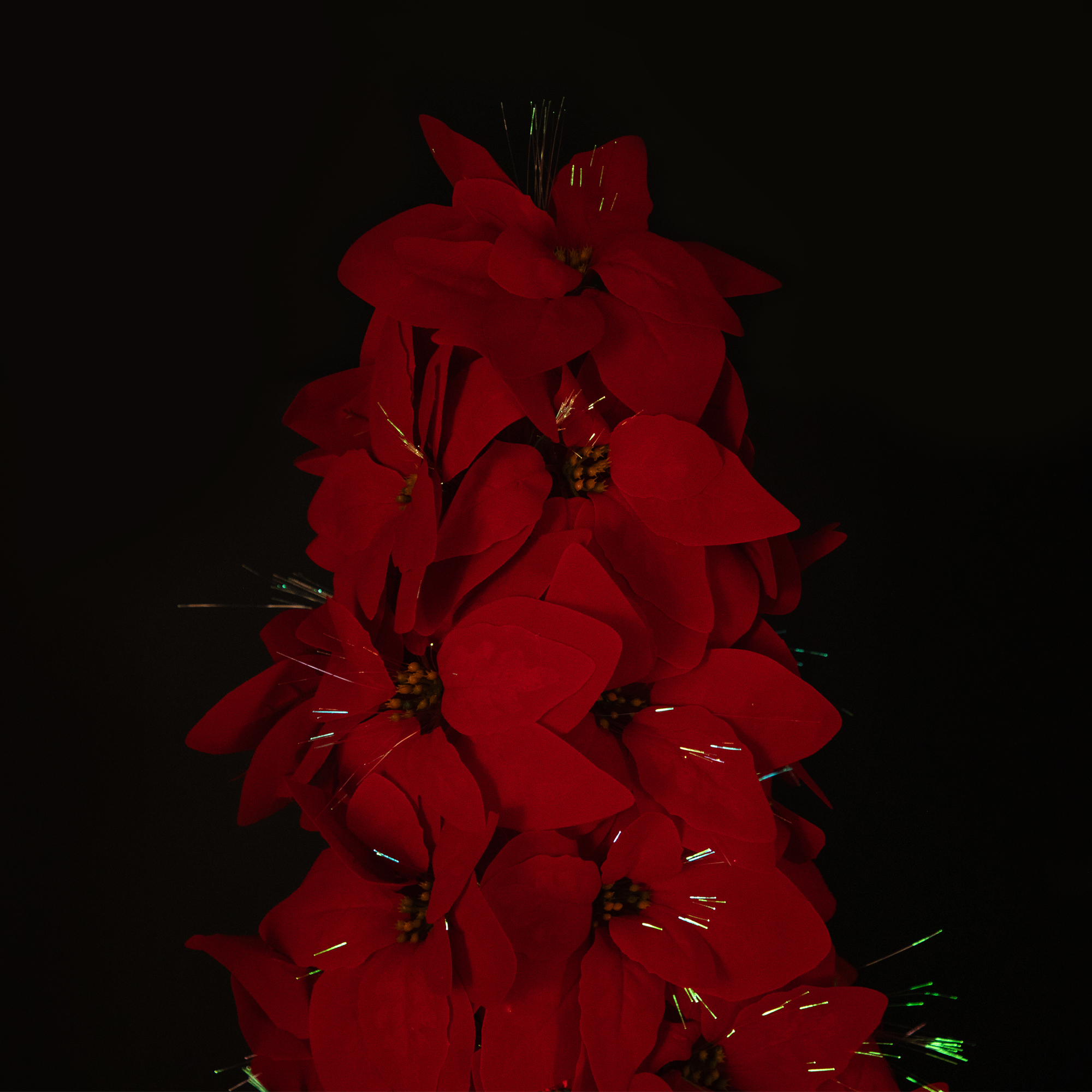 Pre-Lit Fiber Optic Color Changing Red Poinsettia Christmas Tree - 3'