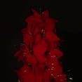 thumbnail image 5 of Northlight Pre-Lit Fiber Optic Color Changing Red Poinsettia Christmas Tree - 3', 5 of 9