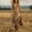 Brown, variant on Morttic Women's Vintage Western Cowboy Style Slim Fit Solid Color Dress – Sleeveless Vest Long Dress with Fringe Hem Brown,S