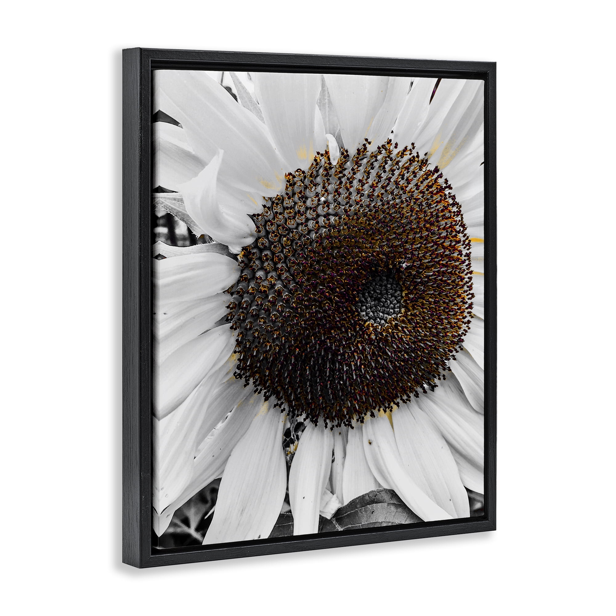 Stupell Industries Flower Pure White Petals Plants & Flowers Photography Black Floater Framed Canvas Art Print Wall Art, 17 x 21