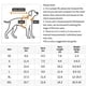 thumbnail image 3 of Summer-Ready Style: Printed Dog Clothes for Small to Medium-Sized Pups!, 3 of 5