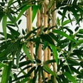thumbnail image 3 of Nearly Natural 11ft. Artificial Bamboo Tree with Real Bamboo Trunks, 3 of 7