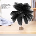 thumbnail image 2 of Feather Table Lamp, Corrosion Resistance Electroplating Process Rechargeable Desk Light 2000mAh Battery Infinite Dimming  For Study Living Room, 2 of 7