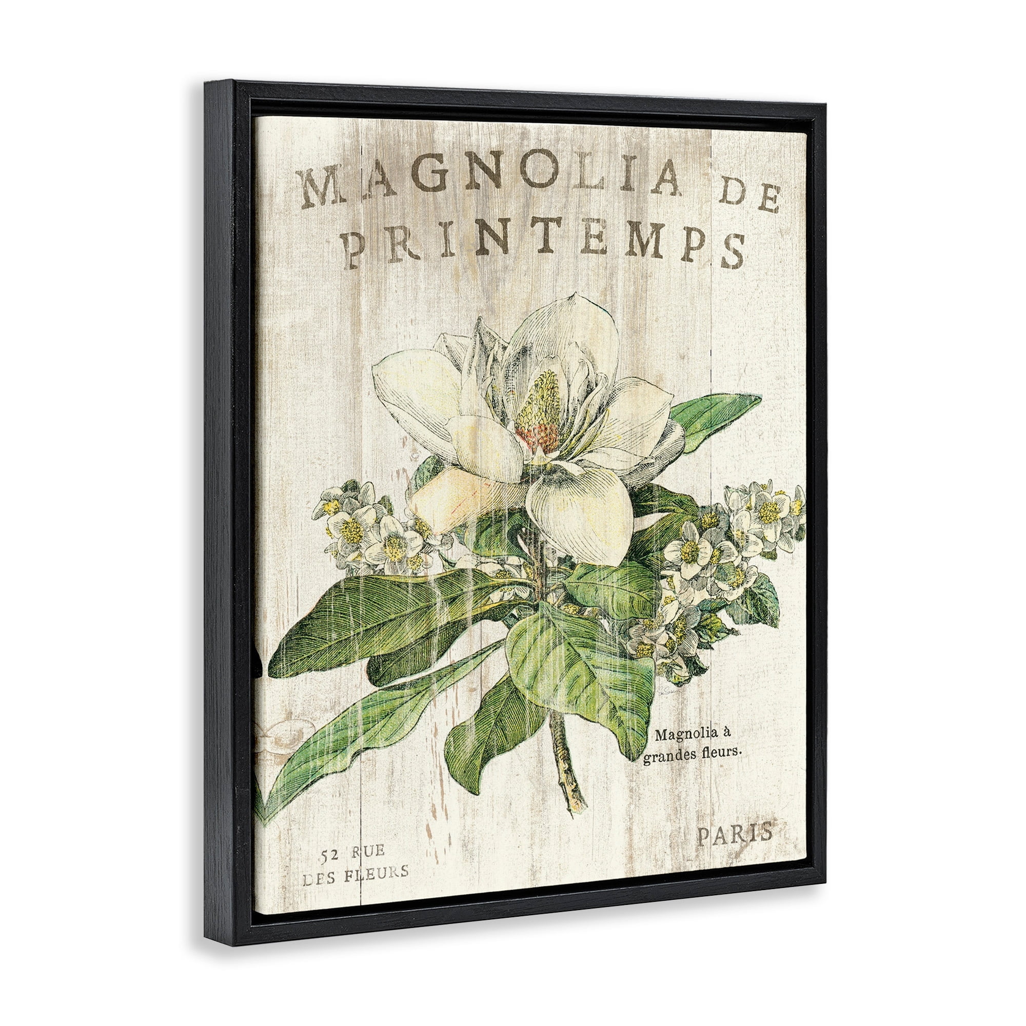 Stupell Industries French Magnolias In Spring Jet Black Framed Floating Canvas Wall Art, 24x30, by Sue Schlabach