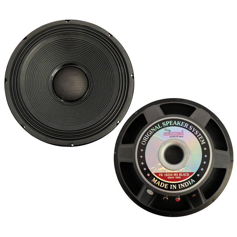 5 Core Pro Audio PA DJ Subwoofer Replacement Raw Sub Woofer Loud
