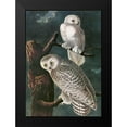 thumbnail image 2 of Audubon, John James 11x14 Black Modern Framed Museum Art Print Titled - Snowy Owl, 2 of 5