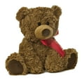 thumbnail image 6 of Aurora - Medium Brown Bear - 10.5" Coco Bear - Snuggly Stuffed Animal, 6 of 6