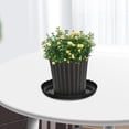 thumbnail image 1 of TEHAUX 12Ud Para Macetas Negras Planta Interior Con Ondulado Para Recogida De, 1 of 6