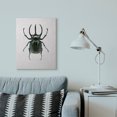 thumbnail image 3 of Stupell Industries Contemporary Beetle Horned Black Green Animal Photograph Canvas Art, 24 x 30, by Design Fabrikken, 3 of 7