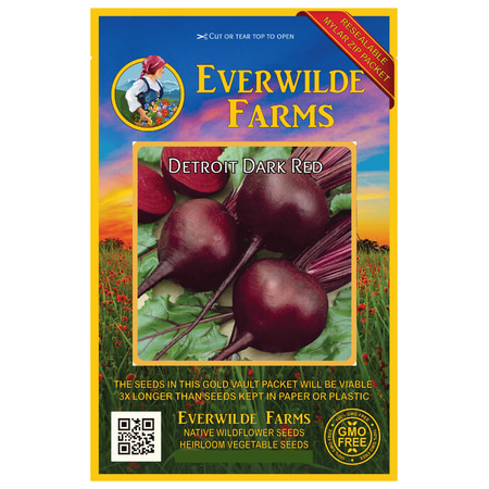 Everwilde Farms - 1000 Detroit Dark Red Beet Seeds - Gold Vault Jumbo Bulk Seed