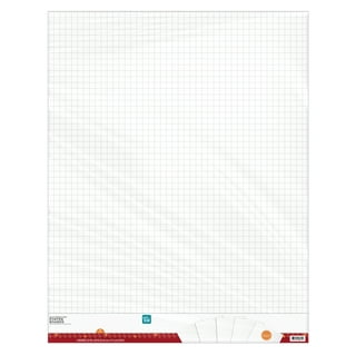 White Poster Board 50 Sheets 22 X 28 - The School Box Inc