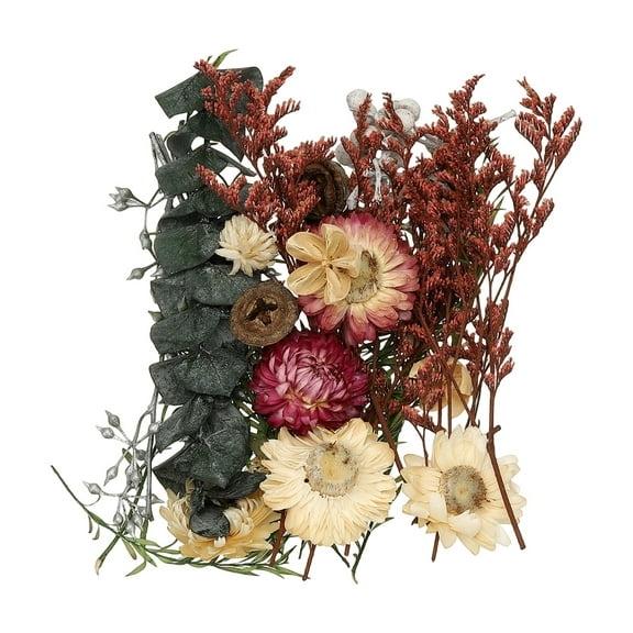 Natural Dried Flower Set, Dried Pressed Flowers (Green Purple)