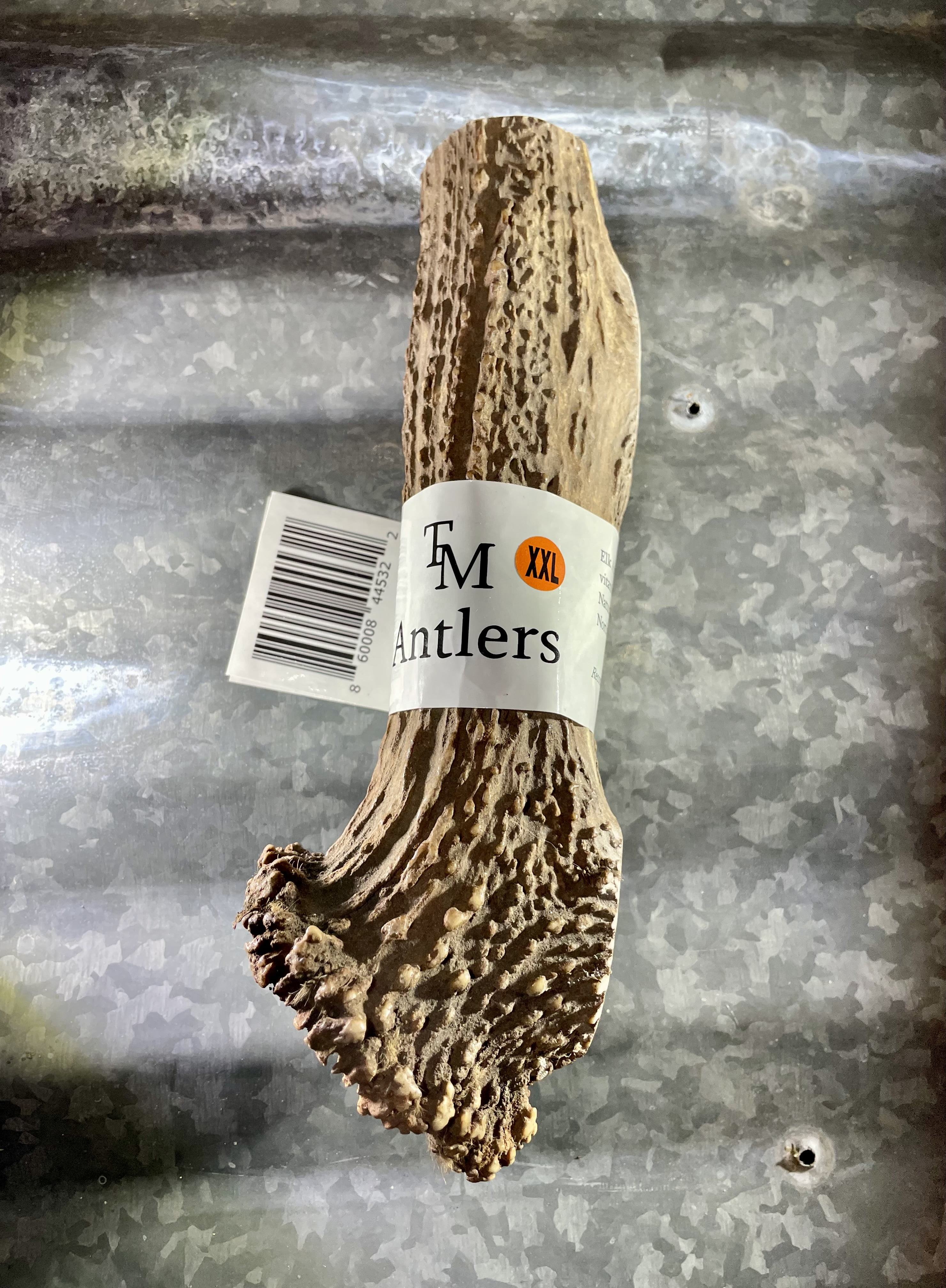 TM Antlers XXL Whole Elk Dog Chew – Durable, Naturally Shed Treat for Large & Extra Large Dogs (Whole: 6”-10”, XXL, 1-Pack)