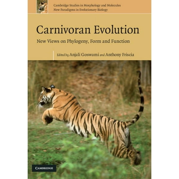 Cambridge Studies in Morphology and Mole Carnivoran Evolution: New Views on Phylogeny, Form and Function, Book 1, (Hardcover)