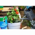 thumbnail image 2 of Miracle-Gro Moisture Control Potting Mix 25L, 2 of 5