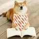 thumbnail image 4 of para perro de Pascua, collar para mascotas, babero suave para perros Zanahorias Zulema  Pañuelo de perros de Pascua, 4 of 8