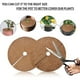 thumbnail image 4 of Juego de 3 discos trituradores de coco - Diámetro: 30 cm - Protección para el invierno - Para plantas - Protección duradera contra las heladas - Protección contra la humedad y las heladas, 4 of 5