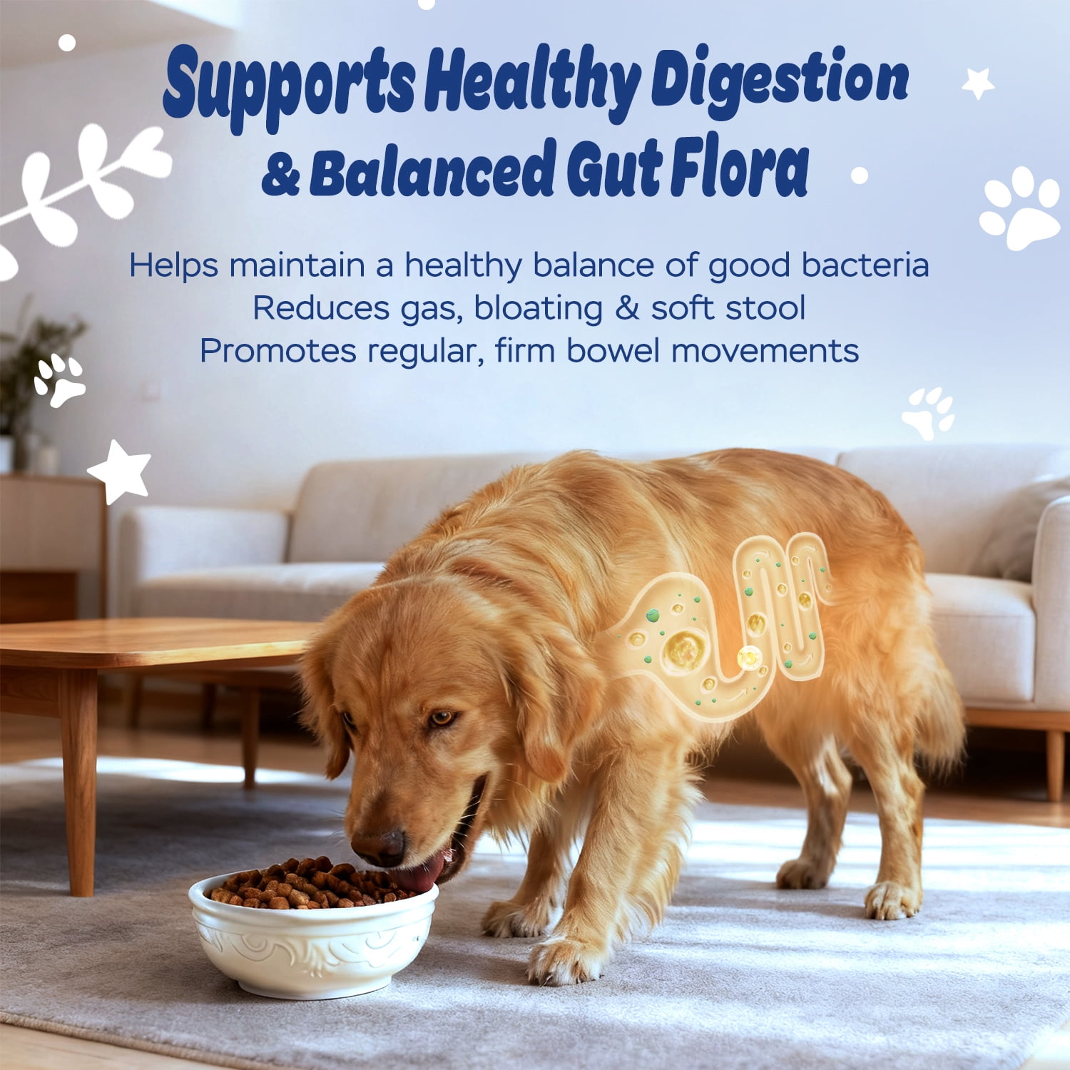 Xiderdl Dog Probiotic Soft Chews 120 Count – 6-Strain Probiotics (2 Billion CFU) for Digestive & Immune Support – Chicken Flavor Gut Health Supplement for Dogs