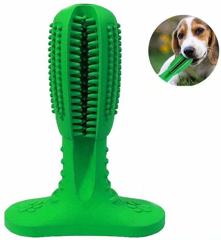 dog chew toothbrush