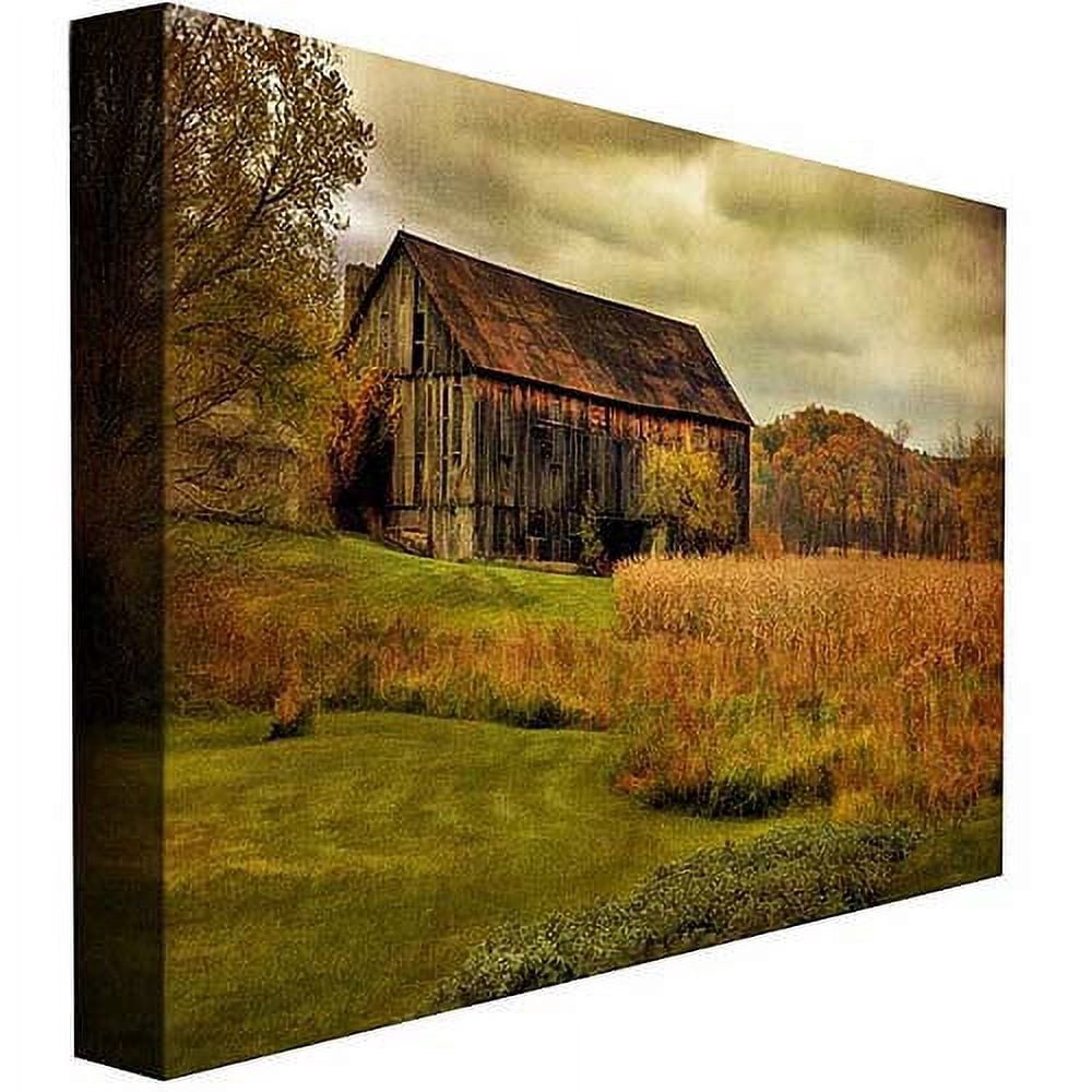 Trademark Fine Art "Old Barn on Rainy Day" Canvas Wall Art by Lois Bryan