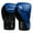 Blue/Black, variant on Hayabusa E1 Boxing Gloves for Kids - Black/Gold, 6oz