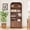 Walnut, variant on YOCWO 70" Tall Arched Bookcases with 1 Large Drawers & 4 Shelves, Wooden Bookshelf with Carved Line and Curved Top for Living Room Office, Natural
