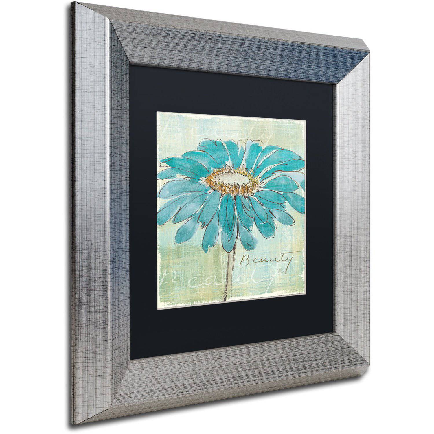 Trademark Fine Art "Spa Daisies I" Canvas Art by Chris Paschke Black Matte, Silver Frame