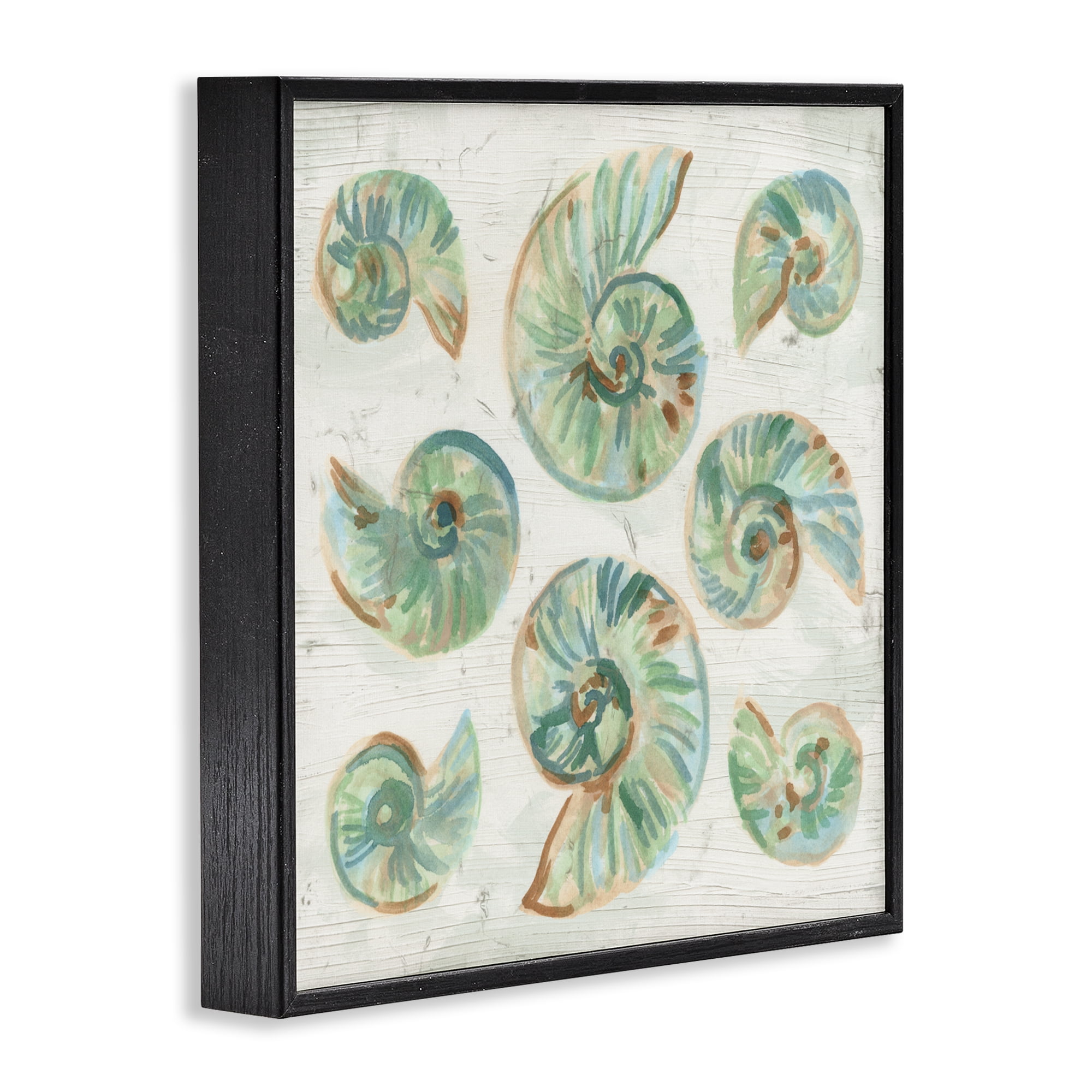 Stupell Industries Organic Saltwashed Shells Black Framed Giclee Art, design by June Erica Vess