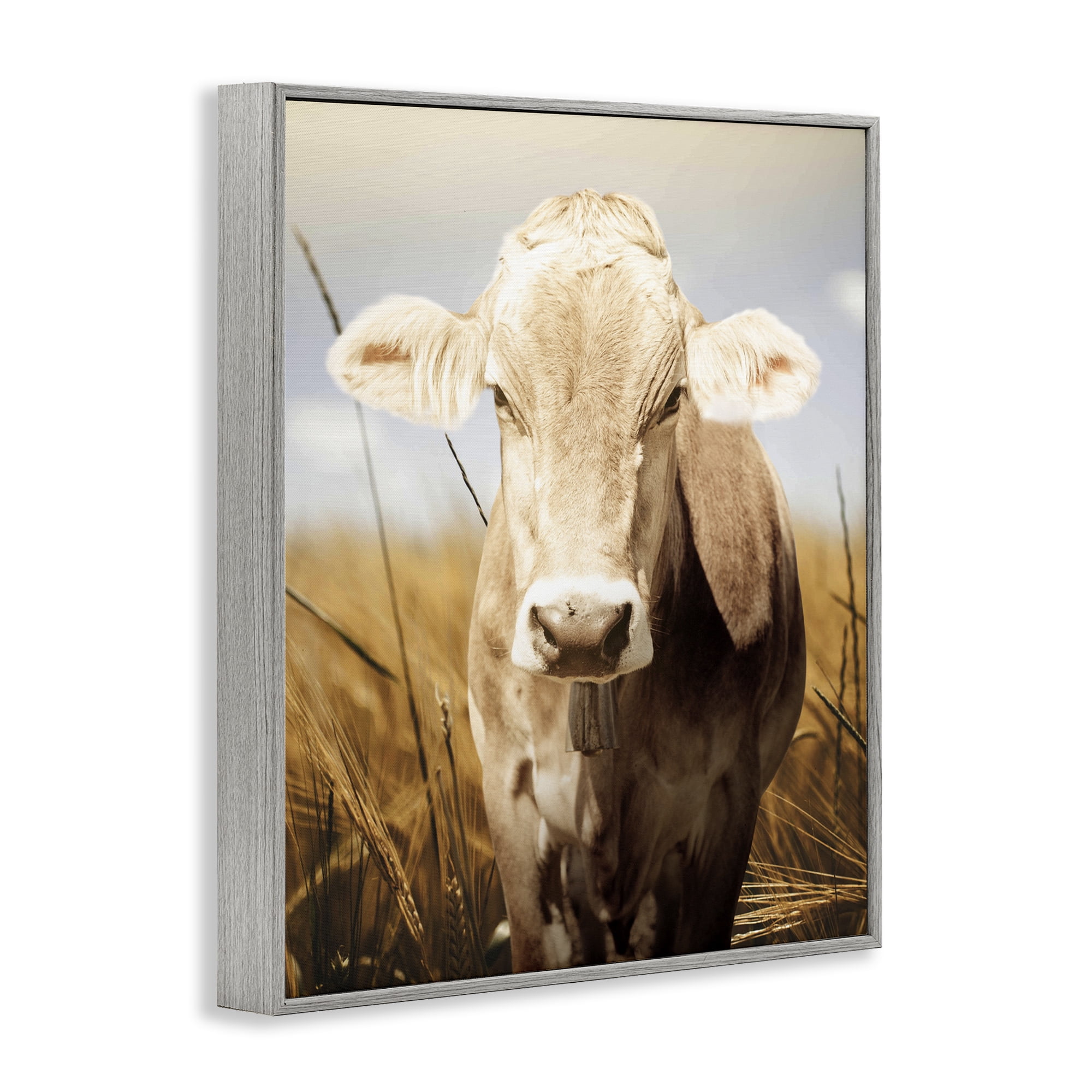 Stupell Industries Simple Belle Cow Portrait Gray Framed Giclee Art, design by Marcus Prime