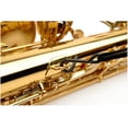 thumbnail image 3 of Rico Padded Saxophone Strap, Tenor/Baritone, Metal Hook, 3 of 3