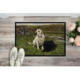 thumbnail image 2 of Carolines Treasures FRF0018MAT Yellow & Black Labradors Indoor or Outdoor Mat, 18 x 27, 2 of 4