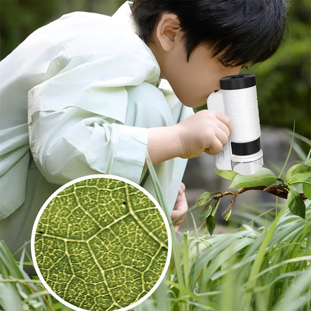 AsterOutdoor Handheld Microscope with LED Light photo 2