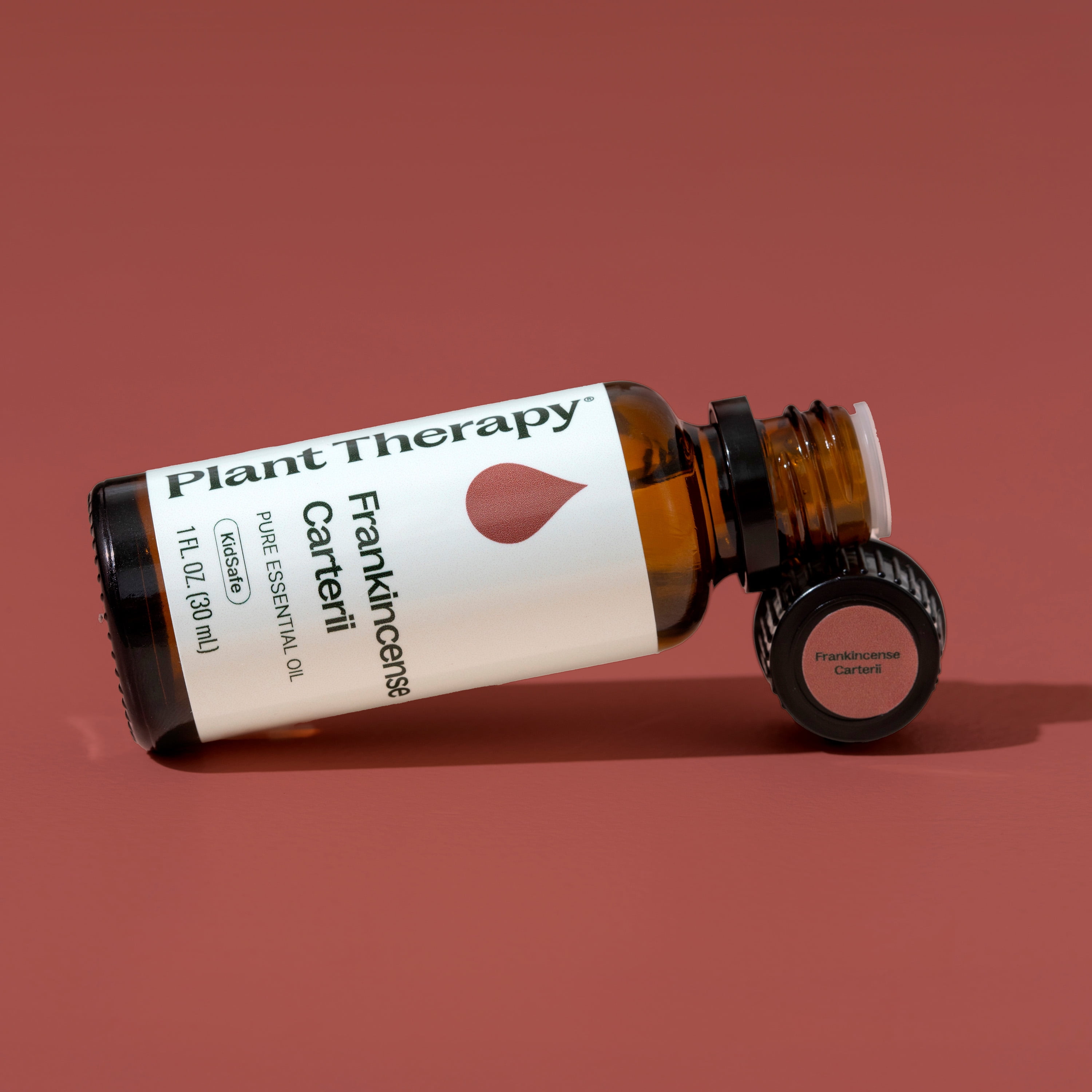 Plant Therapy Frankincense Carterii Essential Oil 30 mL (1 oz), Pure, Undiluted, Natural Aromatherapy