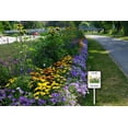 thumbnail image 3 of Less Lawn More Natives, Native Plant Garden Sign, Native Pollinator Sign, Save The Bees Sign, 7x8.8 Inches Weatherproof Aluminum Sign for Outdoor Use, 3 of 5