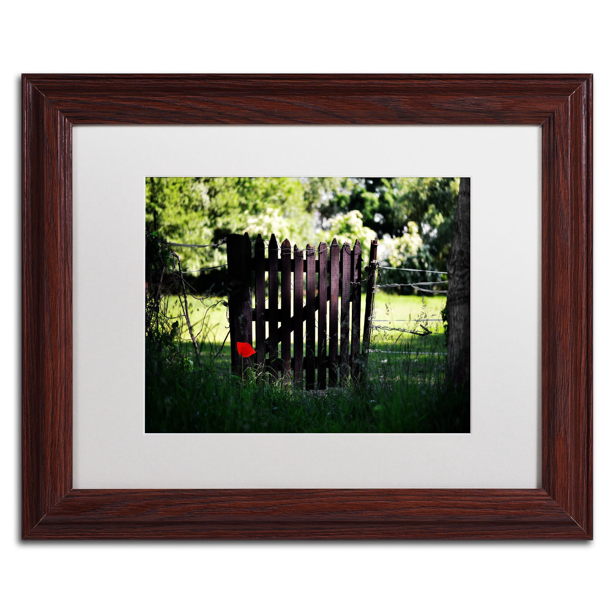 Trademark Fine Art "Press the Red Button" Canvas Art by Philippe Sainte-Laudy, White Matte, Black Frame