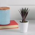 thumbnail image 2 of Northlight 7.5" Artificial Potted Red and Green Aloe Vera Succulent Plant, 2 of 2